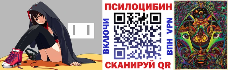 где купить   Ленинск-Кузнецкий  Псилоцибиновые грибы MAGIC MUSHROOMS 